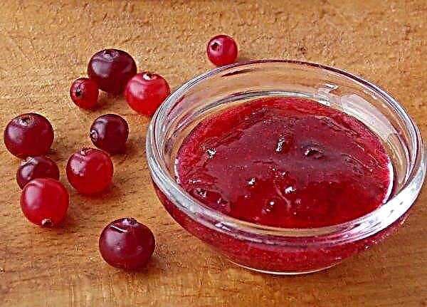 Cranberries, grated with sugar: useful and harmful properties, contraindications, calorie content, mechanism of action
