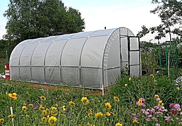 How to glue a plastic film in a greenhouse, a PVC film: the best ways, photos