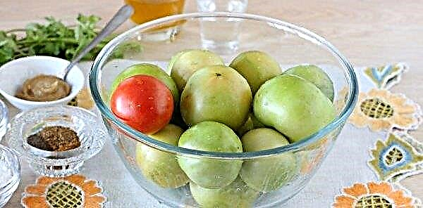 Barrel green tomatoes (in a bucket, in a pan, in jars): the best recipes, step-by-step cooking instructions at home
