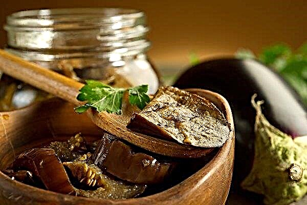 Salting eggplant for the winter: the best recipes with step-by-step cooking, video