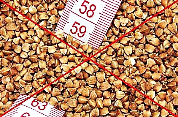 Dieta de trigo sarraceno durante 5 días: revisiones y resultados, un menú para cada día, cuánto puede perder peso, pros y contras, cómo salir de una dieta