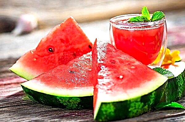 Is watermelon a diuretic or not? Properties, botanical description, rules of use, contraindications