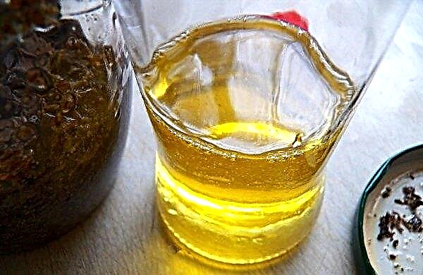 Come produrre olio di olivello spinoso a casa da una torta all'olio, una ricetta a base di olio, come viene ottenuto nell'industria