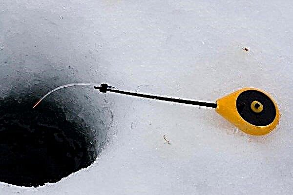إيماءة لقضبان الصيد الشتوية: كيف تفعل ذلك بنفسك للصيد من الداكرون وزجاجة بلاستيكية وفيلم بالأشعة السينية وزنبرك ساعة