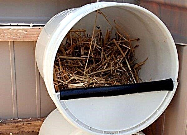 Turkey nests: DIY construction, dimensions, drawings, photos, video