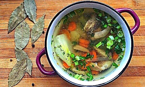 キューピッドの耳：写真付きのレシピ、家庭での魚のスープの調理方法、頭と尾からの調理量