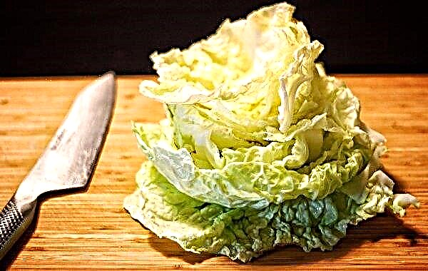 Savoy cabbage for the winter: the most popular harvesting recipes, storage features