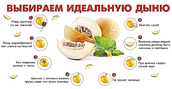 Est-il possible de cantaloup avec un ulcère d'estomac: propriétés utiles et nocives, contre-indications, en particulier la consommation
