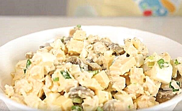 Salade de poitrine de poulet, champignons en conserve et œufs: une recette simple étape par étape pour cuisiner avec une photo