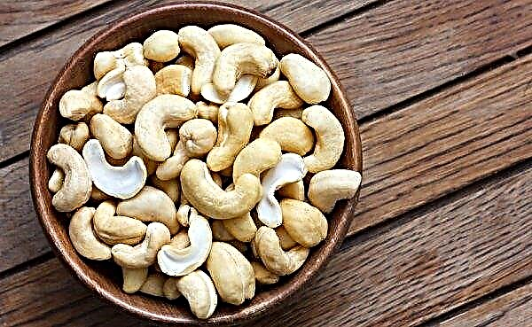 Hur man dricker in cashewnötter i vatten: hur länge man ska hålla, hur man torkar