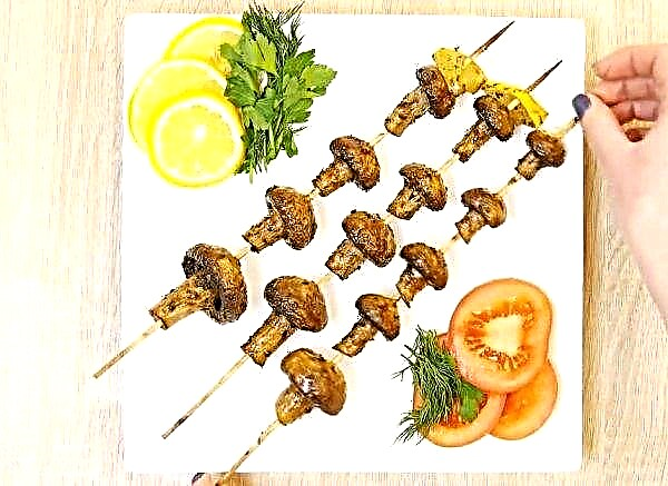 Baked champignons whole on skewers in the oven, kebabs, recipes with photos