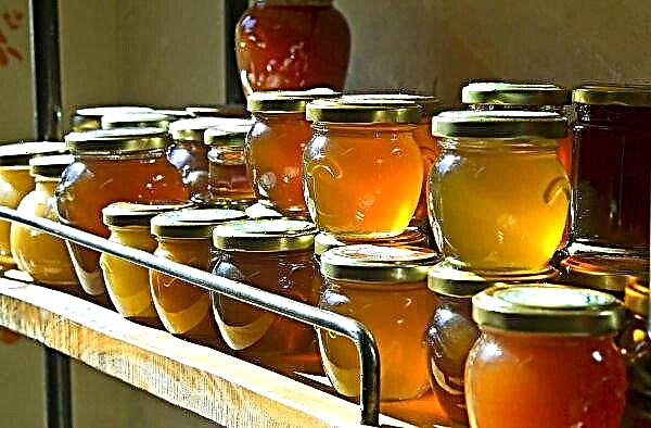 Meadow honey: useful properties and contraindications, how it looks, photo