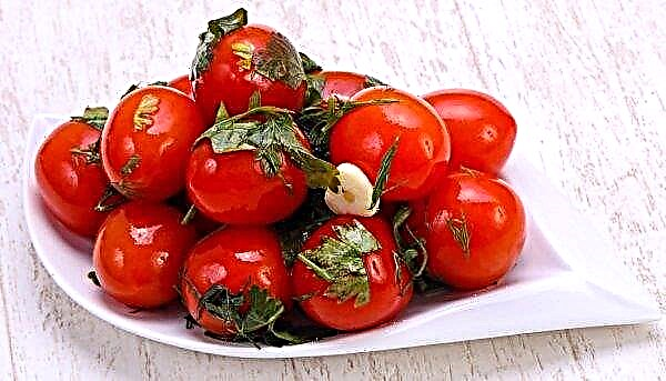 Comment mariner des tomates comme le baril pour l'hiver: recette dans un pot, dans un seau, dans une casserole