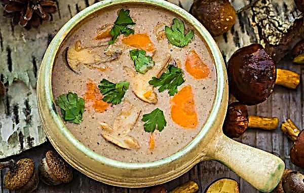 Cream of porcini mushroom soup with cream: recipes