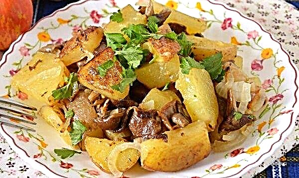 Hautatud kartul seentega. Retseptid külmutatud ja kuivatatud seentega, sibulate, köögiviljade, lihaga, kasutades noori kartuleid.