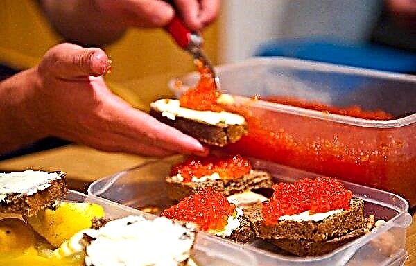 Qual caviar é melhor: salmão sockeye ou chum, salmão coho ou salmão chinook, em tamanho e sabor, mais caro do que diferente