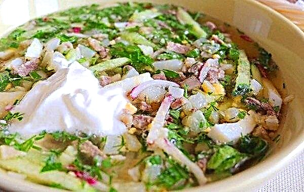 Sopa de pechuga salada: recetas de cocina