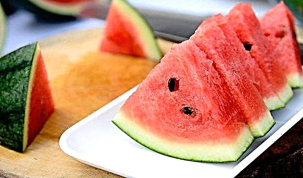 Wassermelone mit Hepatitis B: Sie können essen oder nicht, die Vorteile und Schäden, mögliche Kontraindikationen