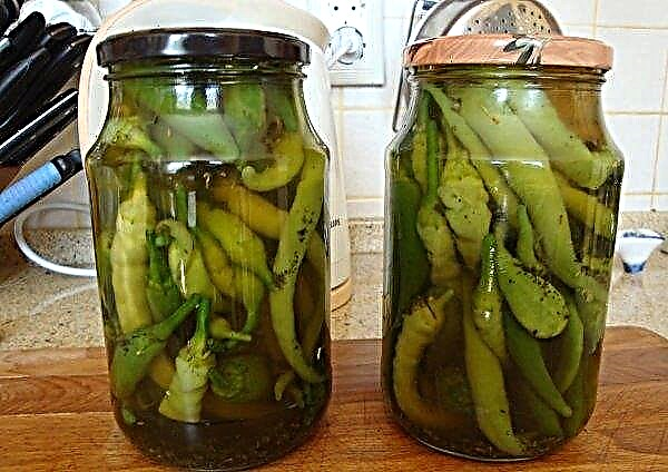Pickled Dungan pepper for the winter: a step by step recipe, photo