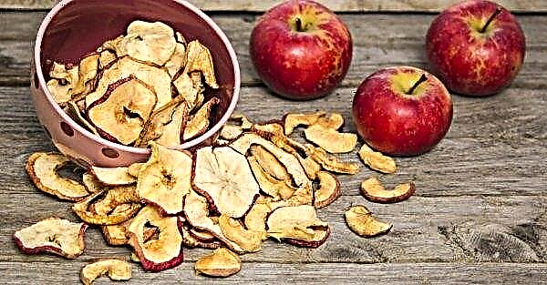 Caloriegehalte van appels: hoeveel calorieën zitten er in 1 st, per 100 gram, de gedetailleerde chemische samenstelling van appels, hoeveel calorieën in groen en rood