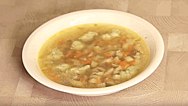 Como preparar uma deliciosa sopa de cogumelos congelados, uma receita simples, passo a passo, com fotos