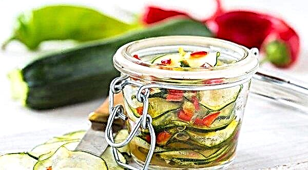 Zucchini Zucchini für den Winter: die leckersten Rezepte, Kochen mit Fotos