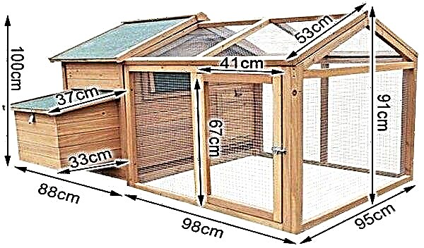 Broiler coop: how to build with your own hands, dimensions and drawings, how to equip inside, photo