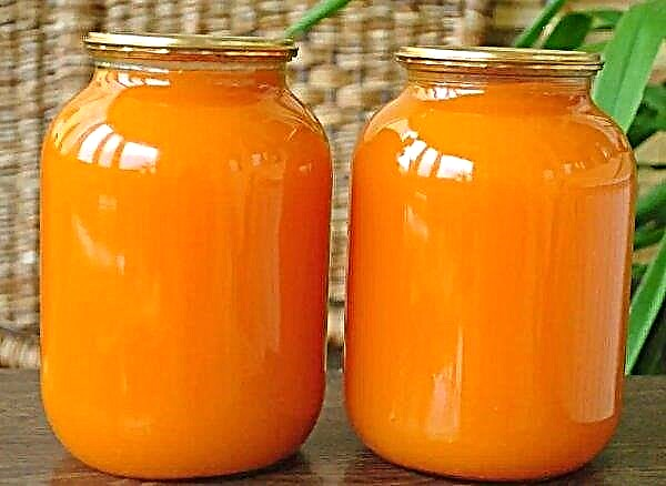Carrot juice for infants: the benefits and harms, from what age can be given to the child, the rules