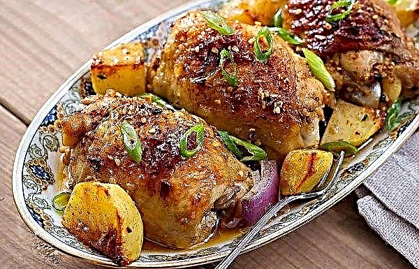 Mantarlı tavuk uyluk: fırında ve bir tavada, peynirli, patatesli, fotoğraflı tarif