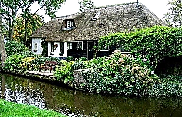 Dutch landscape design: signs and rules of style, history, choice of plants, garden design, photo