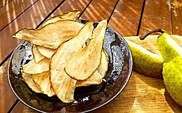 Dried pears: benefits and harms, composition and calories, rules of use