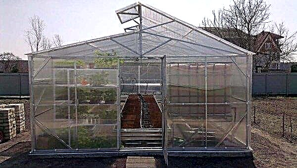 Mittlider greenhouse: features, advantages and disadvantages, diagram, drawing and calculations, DIY manufacturing, video