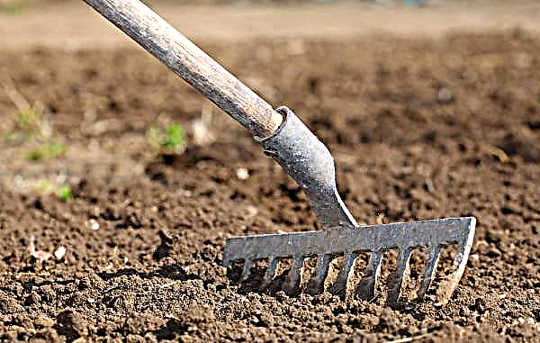 El suelo para la hortensia: lo que le gusta, cómo preparar adecuadamente el suelo, qué suelo plantar, la composición de la turba, lo que debe agregarse al plantar