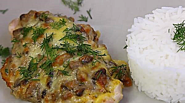 Chicken breast with mushrooms: what and how to cook, a simple step by step recipe with a photo