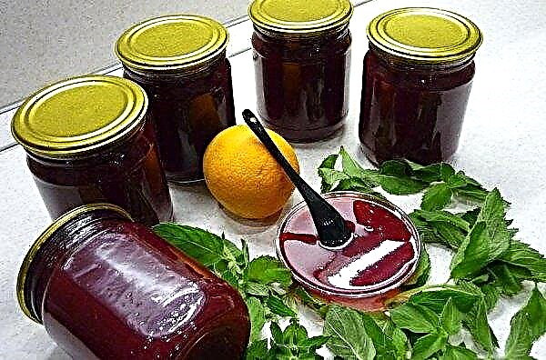 Tasty and simple recipes for making red currant jam for the winter