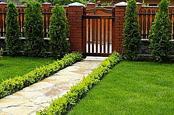 Landscaping of a rectangular plot: examples of decorating a country house on a square and rectangular shaped garden plot, photo