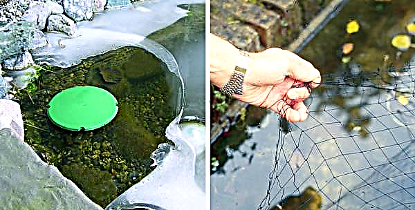 Aménagement paysager avec un réservoir: étangs artificiels dans la maison de campagne, un étang en plastique à faire soi-même dans le pays, types et formes de réservoirs, photos