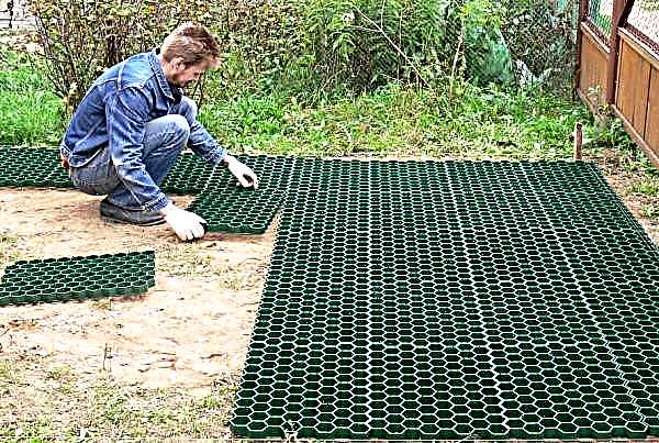 Telhas plásticas para caminhos de jardim no país: placas de polímero para caminhos de montagem, etapas de construção DIY