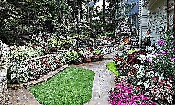 Landscaping in a small garden: rules for design planning, how to do it yourself, ideas for landscape design in a small garden