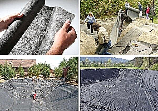 Geotextile under the pond: how to choose and use, the device geotextile for reservoirs, how to lay the canvas on the bottom