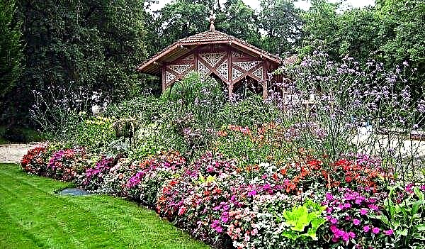 ランドスケープデザインのアーバー：近くに植えるもの、国の登山植物や花壇、夏のコテージに適した花