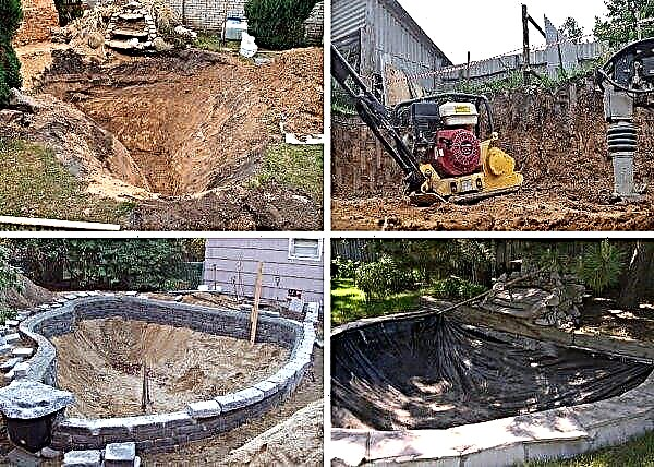 Sami ribnik na zemljišču brez filma: kako narediti dno brez betona, kako izkopati naravni ribnik na glini, zgraditi umetni rezervoar