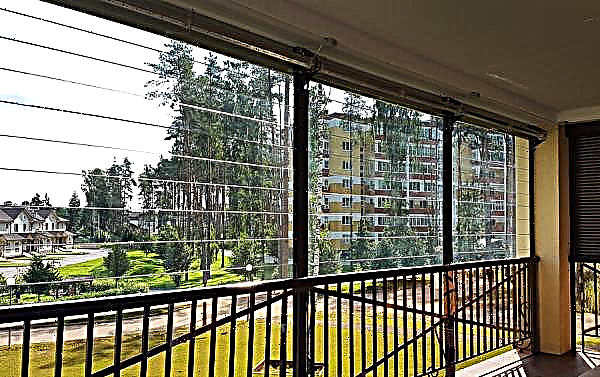 Jendela transparan untuk beranda dan teras: pemasangan gulungan yang terbuat dari polikarbonat dan kaca, pro dan kontra konstruksi
