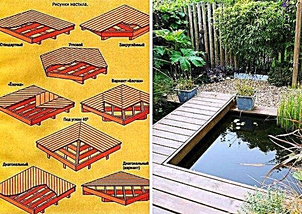 Plancher autour de l'étang: avec une plate-forme en bois, comment le faire soi-même, la disposition et la taille, la forme et l'installation