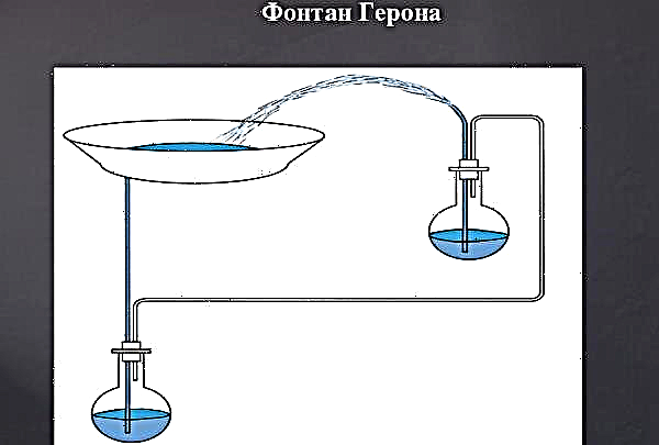 Pompe pour une fontaine au chalet: petites pompes électriques submersibles et de surface, comment choisir la bonne pompe pour une cascade décorative