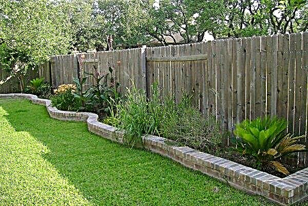 Aménagement paysager à la clôture du côté de la rue: les règles pour planter des plantes à l'ombre sous le carton ondulé, quelles plantes planter, photos d'options et d'idées