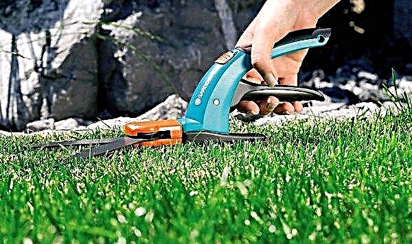 Do-it-yourself lawn in the sand: will there be a lawn in the sand, what kind of sand is needed for planting, the choice of lawn grass for sowing