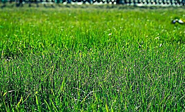 Covering material for the lawn: why cover with film after sowing in the city, what can be covered and when to remove