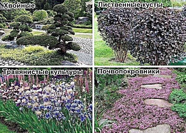 Japanese garden: photo and description of the landscape design style of the garden plot, how to make it yourself with stones
