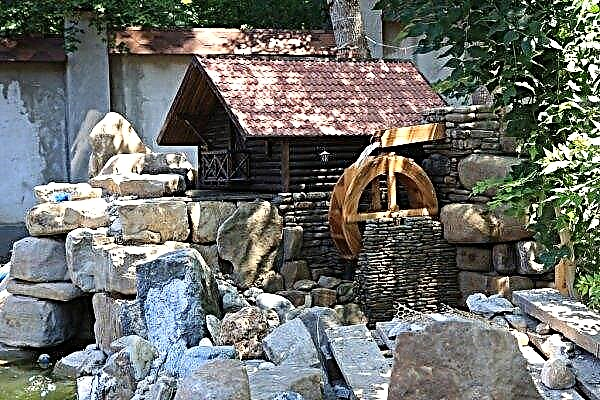 Moulin en aménagement paysager: une photo, comment fabriquer de la pierre et du bois de vos propres mains